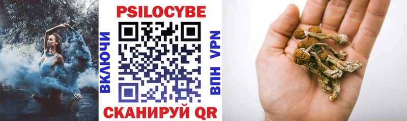 Галлюциногенные грибы Psilocybe  блэк спрут   Мышкин 