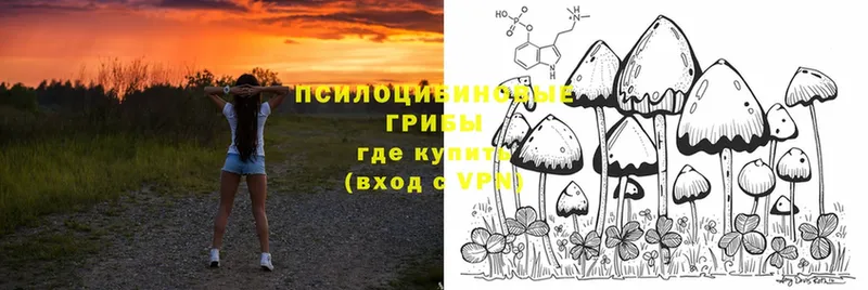 Псилоцибиновые грибы Psilocybine cubensis  OMG рабочий сайт  Мышкин 